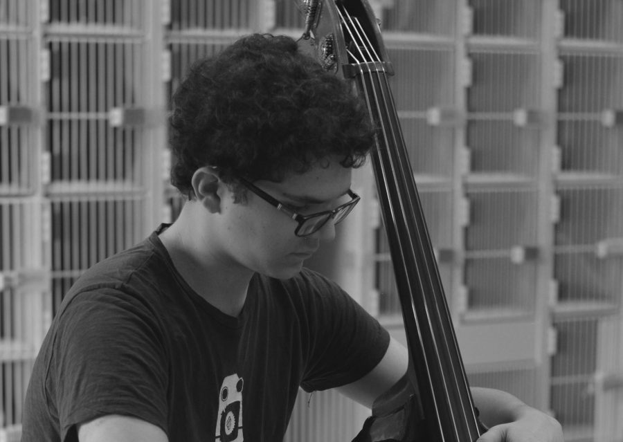 Talented junior is all about that bass