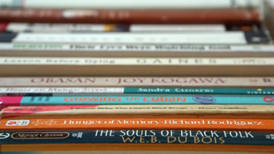 More of an effort must be made to expand the literary canon to authors of color. Out of the 43 books McCallum students read in English class, including AP and regular English classes, eight were written by authors of color.
