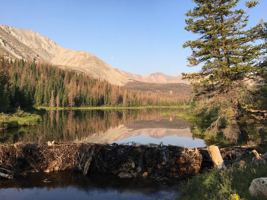 Browns Lake in the Gunnison National Forest in Central Colorado is at the end of a six mile trail, and has a elevation of almost 12,000 feet. The lake may be cold, but the views during sunrise are hard to beat. Photo by Max Rhodes.