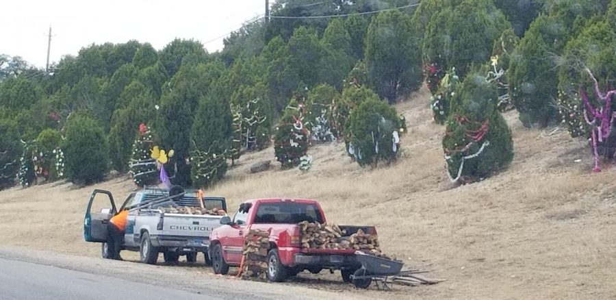 The trees along 360 north of 2222 have been decorated already but when will they be undecorated and who will take on that thankless task?