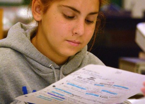 JUST THE HIGHLIGHTS: Freshman Bella Davis looks over her highlighted notes for French class with a partner. Photo by David Winter.