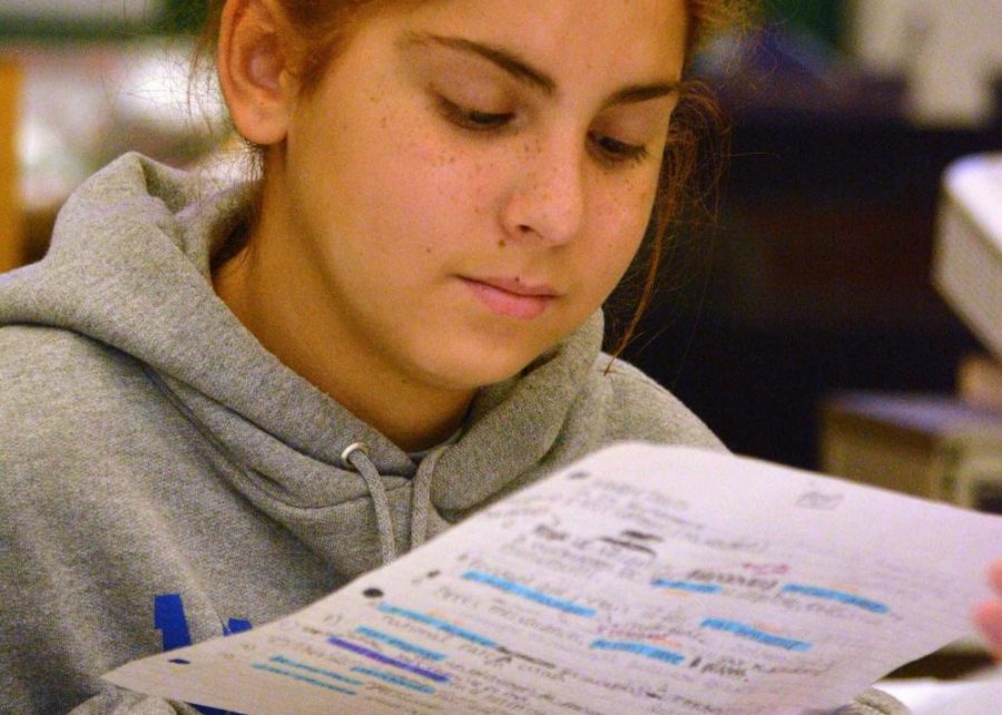 JUST THE HIGHLIGHTS: Freshman Bella Davis looks over her highlighted notes for French class with a partner. Photo by David Winter.