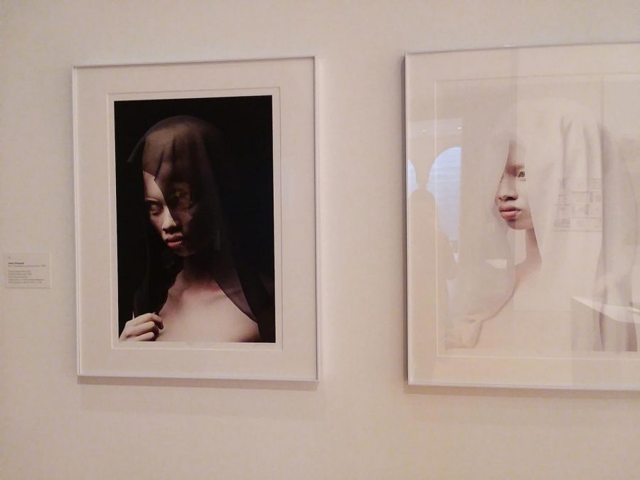 “Black Veil” and “White Veil” from the Albus by Justin Dingwall. Photo by Olivia Watts.
