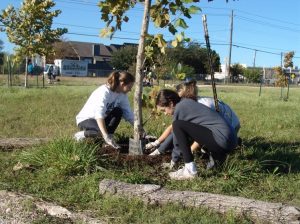 Mary Roe (front left) and two other Environment Knights are mulching a tree at Barrlington It’s My Park Day.
 “It was really cool to get everyone together and help others. I love community service with friends.”-Mary Roe.