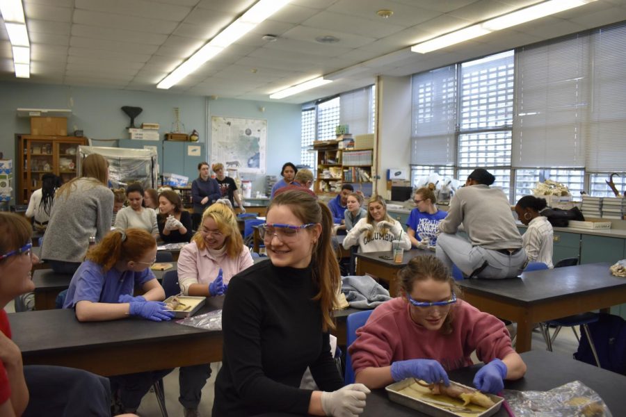 Students in Mr. Whizs AP Anotomy classes disected rats to study muscles. Senior Chloe Shields told us, “I was cutting around and I was nervous that I snipped a bit too deep, but all was good in the end. Honestly, I can’t say that I like dissecting. I feel like the bad guy from Texas Chain Saw Massacre.” 