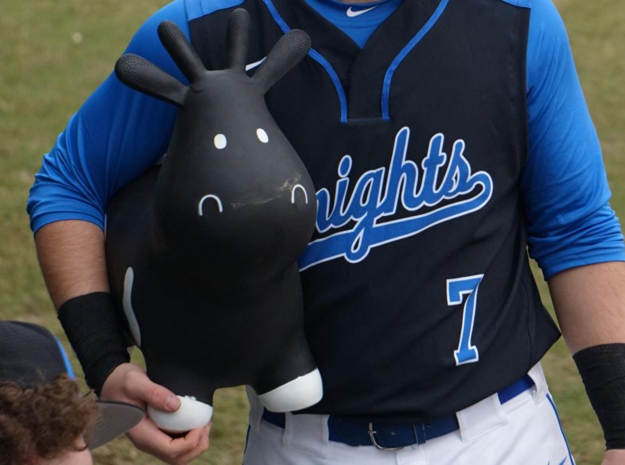 At the 2019 Alumni Baseball Game, rally captain Noah Cooley brought Ralphie out of the dugout to change the moo-mentum after the alums put up three runs in the top of the first. Ralphie went right to work, and before Harry Caray could say, Holy cow! the varsity led, 8-3. Photo by Dave Winter.