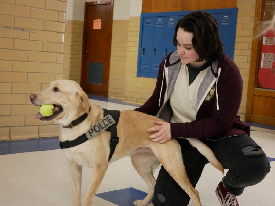 K_9 PLAY TIME: Senior Sutton Ballard and Luca, an AISD drug dog, play a quick game of fetch in the main hallway. Luca, AISD's sole drug dog, arrived at McCallum today along with her partner Officer Seagrave. Luca, whose training cost AISD $10,000, was excited to show off her obedience and tennis ball-catching skills for a crowd of students during sixth period before leaving to investigate the campus.