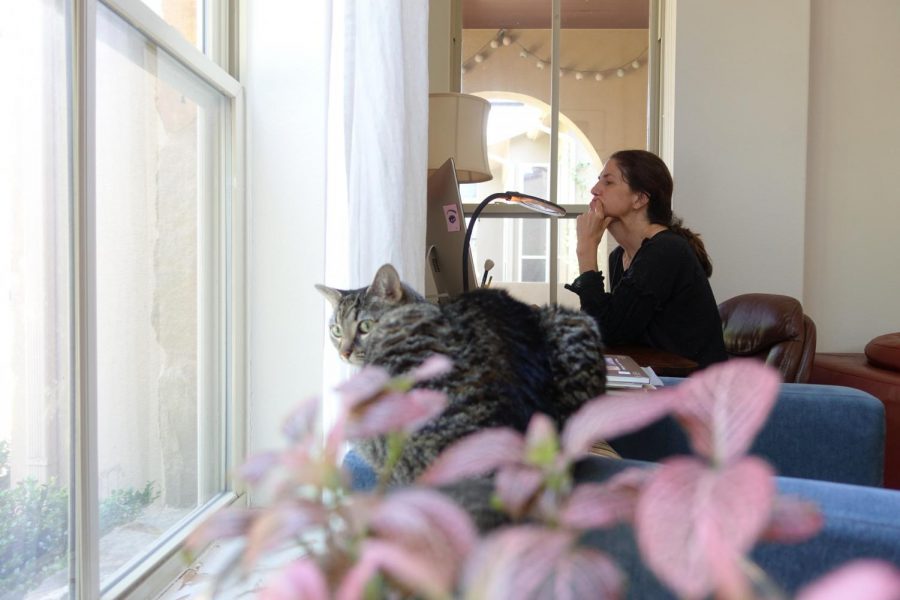 LAYERS: My mom, an artist, spends a lot of her time at her downstairs desk drawing and researching. Our cat Mouse always finds a way to be involved, whether its sitting next to her, or laying straight on her work. Photo by Camille Wilson.