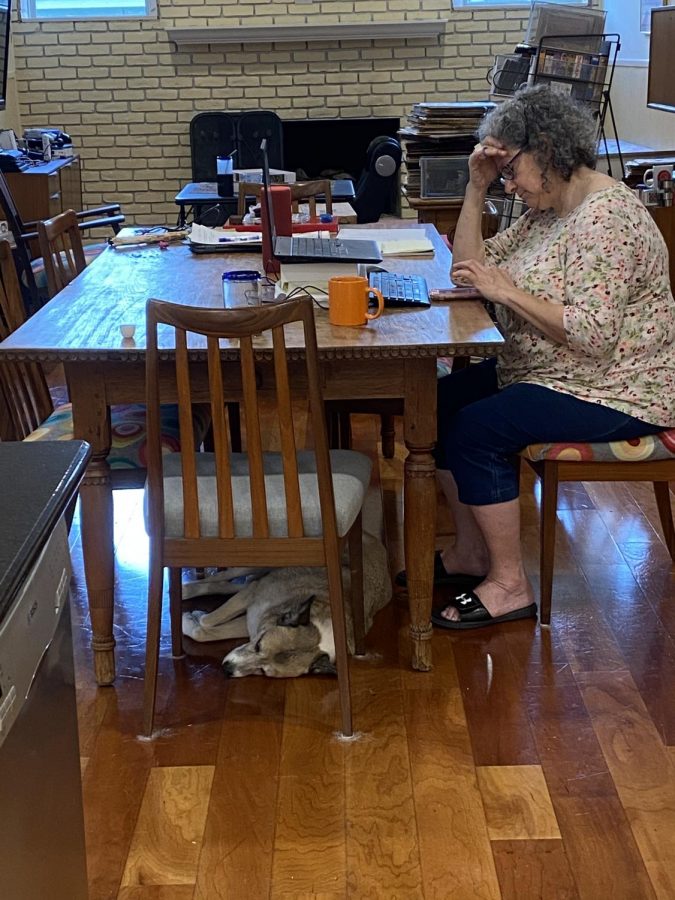 MOM WORKING: This is my Mom working from home while my dog lays under the table. My dog has really enjoyed having more company around the house since usually it’s just the cat. I don’t think my mom enjoys our company quite as much though. Photo by Thomas Melina Raab.