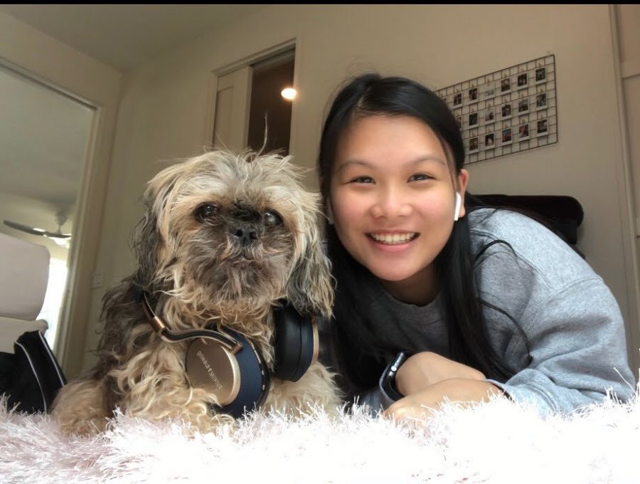 LISTENING IN: Freshman Sophie Leung-Lieu and her shaggy dog, Sun Tzu lay on the floor with their headphones in. Moments after this photo was taken, Sun Tzu rolled over and was not in the mood to be posing. “It was difficult to get a good photo where he was sitting up straight,” Leung-Lieu said. “He looked grumpy in every other picture we took.” In the end, Sophie and her pet companion got the right shot.
