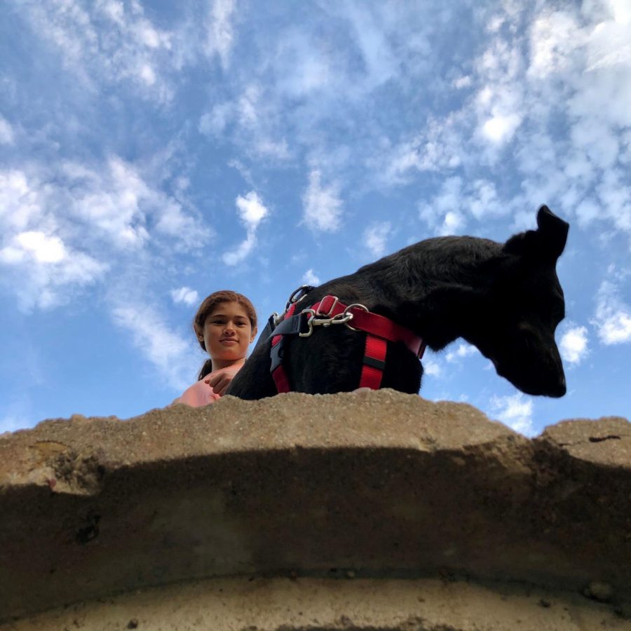 EXPLORING AROUND: Me, my sister, an my dog have become a trio since quarantine started. We have been exploring all around the neighborhood, including the drainage tunnels. Photo by Ella Rosenblatt.