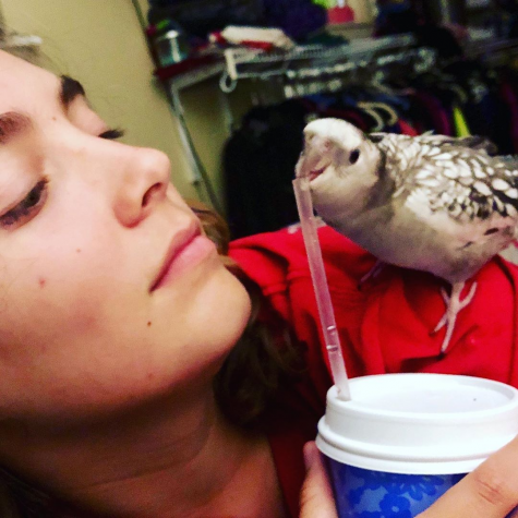 Junior Ava Phillips looks to her bird Leviathan (Levi for short), as he bites the straw of her drink. While she may be the one being perched on in this photo, Levi serves as support and company to Phillips  as she spends hours on her animations. "I love my bird with a passion," Phillips said. "He sits with me through all of this. I consider him my production consultant."