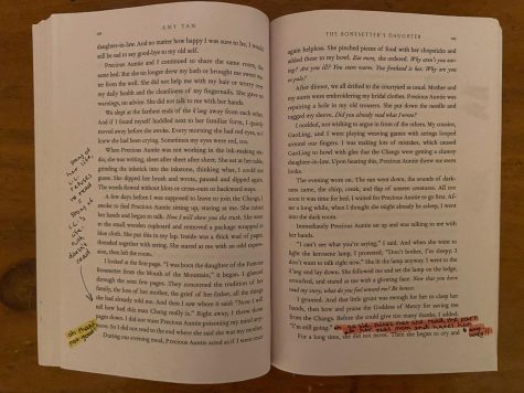 For my summer reading assignment this year, I read the The Bonesetters Daughter by Amy Tan.   We had no additional assignments with the reading, except for annotating the text.