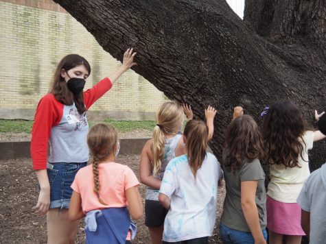 Senior Veronica Britton feels the bark of a Texas Live Oak tree with her fourth-grade class during a tree identification tour. I learned about trees at school and that was cool, fourth-grader Russ Farris said. Photo by Lucy Marco.