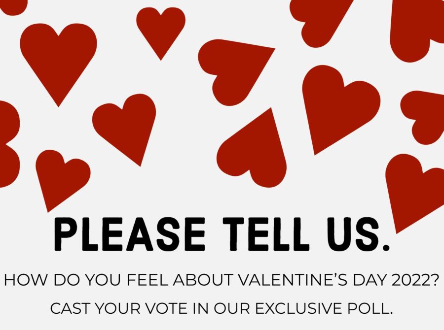 Cast your vote in the Shield Online Valentines Day poll