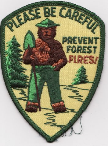  Direct scan of a vintage embroidered patch. Christmas present in 2009 from my Mom. She knows I like this kind of stuff. Credit to Calsidyrose on Flickr.