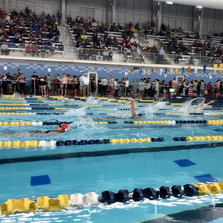 The+McCallum+swim+team+at+last+years+5A+regional+meet+in+San+Antonio.+The+meet+was+split+into+preliminaries+and+finals.+All+McCallum+swimmers+advanced+to+finals.%0A%E2%80%9CThe+general+atmosphere+was+great%2C%E2%80%9D+sophomore+Maggie+Coulbourn+said.+%E2%80%9CEverybody+was+super+congratulatory+and+excited.+The+team+overall+did+so+good%2C+I+was+so+proud+of+everybody%E2%80%99s+hard+work+and+and+we+had+a+lot+of+people+drop+time%21%E2%80%9D