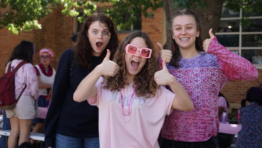 FUN+WITH+FRIENDS%3A+Sophomores+Hazel+Trominski%2C+Julia+Rasp+and+Zalie+Mann+pose+for+the+camera+during+Pink+Week%E2%80%99s+lunch+festivities.+Students+in+the+science+courtyard+throughout+the+week+enjoyed+the+activities+while+spending+time+with+friends+and+sporting+their+best+pink+wear.+Rasp+went+all-out+during+Pink+Week%2C+pink+being+her+favorite+color.+%E2%80%9CI+think+it%E2%80%99s+awesome+that+they%E2%80%99re+raising+money+for+breast+cancer+awareness+and+doing+fun+stuff+and+that+a+lot+of+it+is+student-organized%2C%E2%80%9D+Rasp+said.%0ACaption+by+Camilla+Vandegrift.