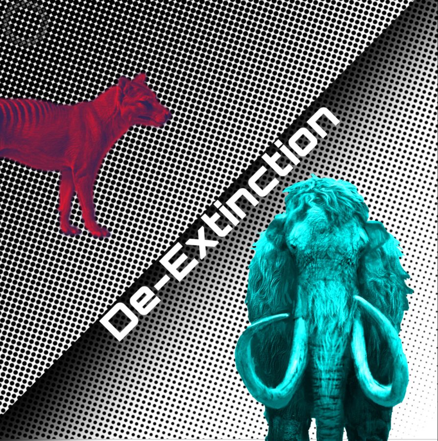 The main extinct species focused on.