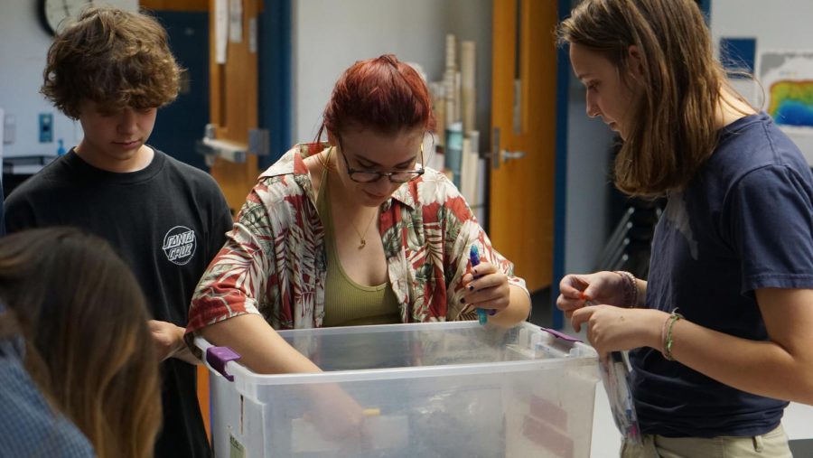 Environmental club works on a project at a meeting after school.