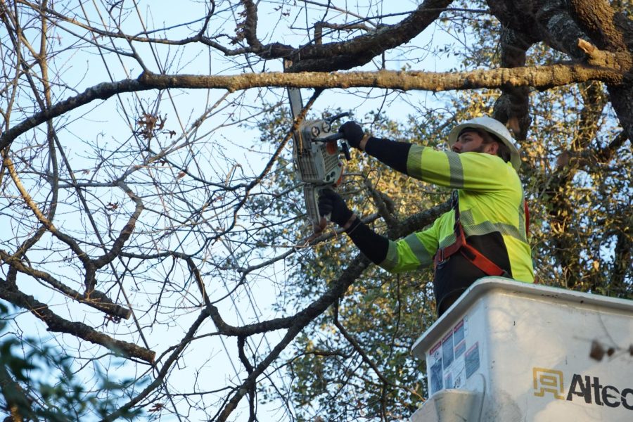 A+worker+for+Asplundh+Tree+Expert+Co.%2C+a+private+tree+service+company+that+works+with+Austin+Energy%2C+cuts+branches+away+from+power+lines+moments+before+Austin+Energy++restored+power+to+about+20+homes+in+the+Northwest+Hills+neighborhood+late+Sunday+afternoon.+The+homes+had+been+without+power+since+Wednesday+afternoon.+A+walk+around+the+block+on+Monday+morning+revealed+that+two+home+were+still+completely+dark%2C+and+one+of+them+had+a+generator+running+in+the+driveway%2C+a+indicator+that+some+homes+in+the+neighborhood+are+likely+still+without+power.