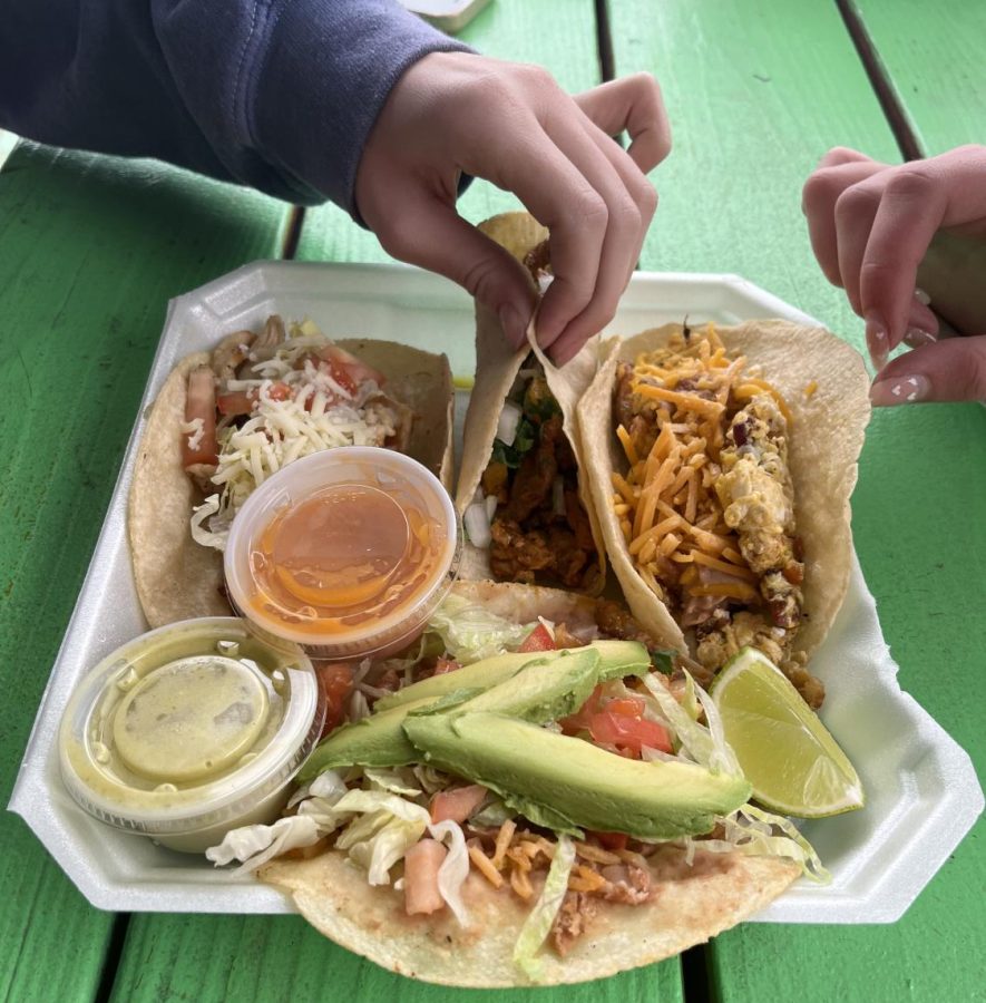 Shield staff reporter Isley Cameron reaches for a bite of her taco from Taqueria Torres, a taco truck located on the corner of Grover and Koenig. 