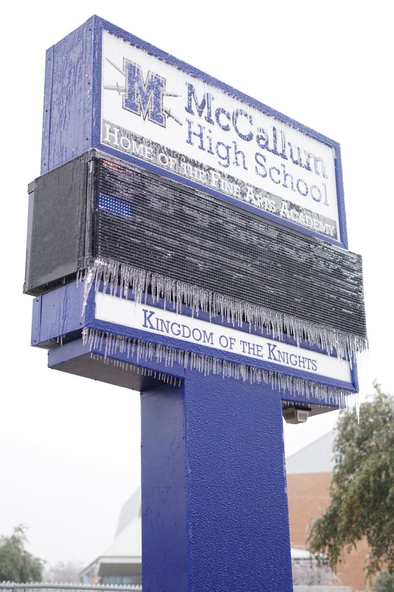Austins ice storm did not leave the McCallum campus untouched. Trees, signs and buildings were covered in ice during the storm.
