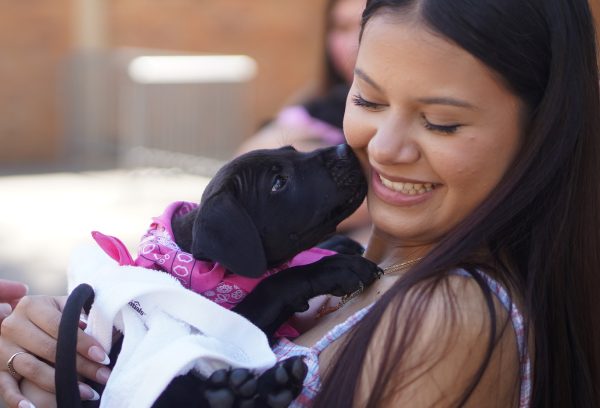 Setting a new Pink Week precedent, puppies were introduced into the Pink Week festivities this year. Two 6-week-old puppies-Mae and Millie were brought from Austin Pets Alive, and students, including Mariana Silva shown here, were able to pay to cuddle and play with the puppies. The event turned out to be extremely popular at McCallum with a huge line twisting around the courtyard, and the PALS program reported that just on Tuesday alone, the group raised $700 dollars for the Breast Cancer Resource Center of Texas. Not only did the puppies help to raise money for the BCRC, but the event also served as an adoption event for Austin Pets Alive, as students and their families were given the puppies' information about how to adopt puppies in the future. Caption by Josie Mullan.