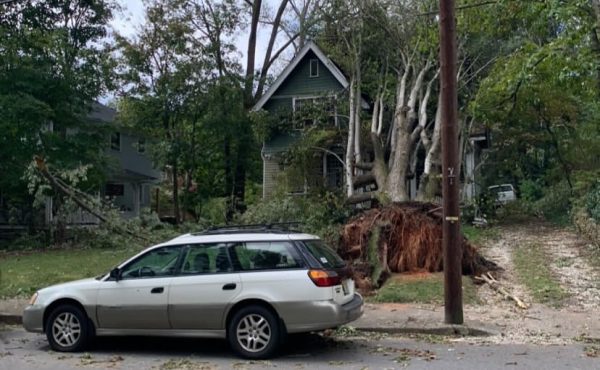 This tree was ripped out of the front yard of a residential home in Asheville, N.C.