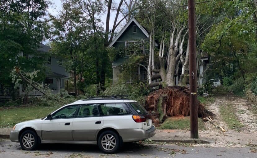 This tree was ripped out of the front yard of a residential home in Asheville, N.C.