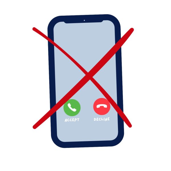 The state of Florida initiated the wave of cellphone bans in schools across the country with bill HB-379 which was sponsored by Republican Brad Yeager and received bipartisan support from the Florida House and Senate. The bill took effect last summer, July 1. 2023. 

Graphic by Mira Patel.