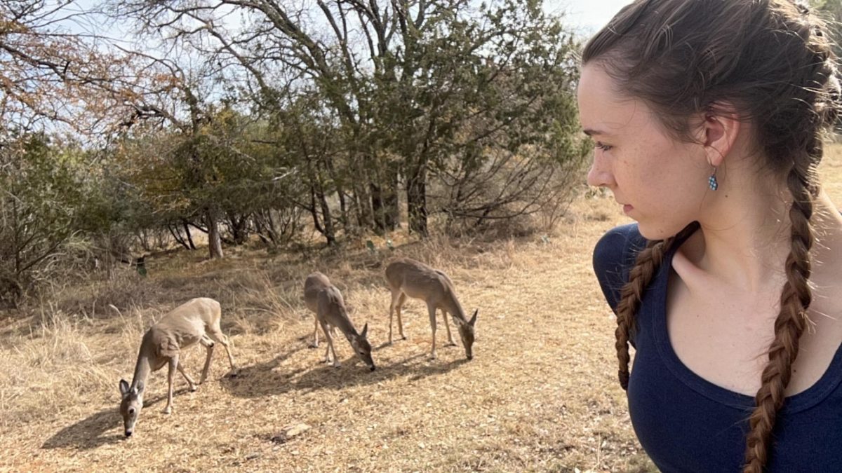 SPENDING THANKSGIVING IN NATURE: Junior Elizabeth Falkin feeds deer who wander around her grandfather’s lakehouse on Lake Buchanan during Thanksgiving break. Falkin travels to her lakehouse during long breaks and spent six days there during this break. 

One thing that makes Falkin’s lakehouse special for her is the ability to feed the deer.

“There are a ton of deer up there, and we always keep tins of deer food so that we can feed them and see them more up close,” Falkin said. 

This trip also allowed Falkin the opportunity to see her cousins, who showed up to her family’s lakehouse on Thanksgiving without her knowing they were coming beforehand.

“I never get to see my baby cousins, so I loved going to the beach with them and sitting by the fire at night,” Falkin said. “I love the fire because I feel like I don’t have to worry about anything else like school for just a little while.”

Falkin has been going to the house for as long as she can remember and always enjoys the sense of serenity it brings.

“It is an amazing, isolated place that allows me to calm down and spend time with the people I care about as well as with nature,” Falkin said. 

Caption by Maya Tackett. Photo courtesy of Elizabeth Falkin.