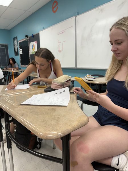 Juniors Corinne Hampton and Olivia Pittman rely on the newly acquired TI-84 calculators to complete their math assignment. 