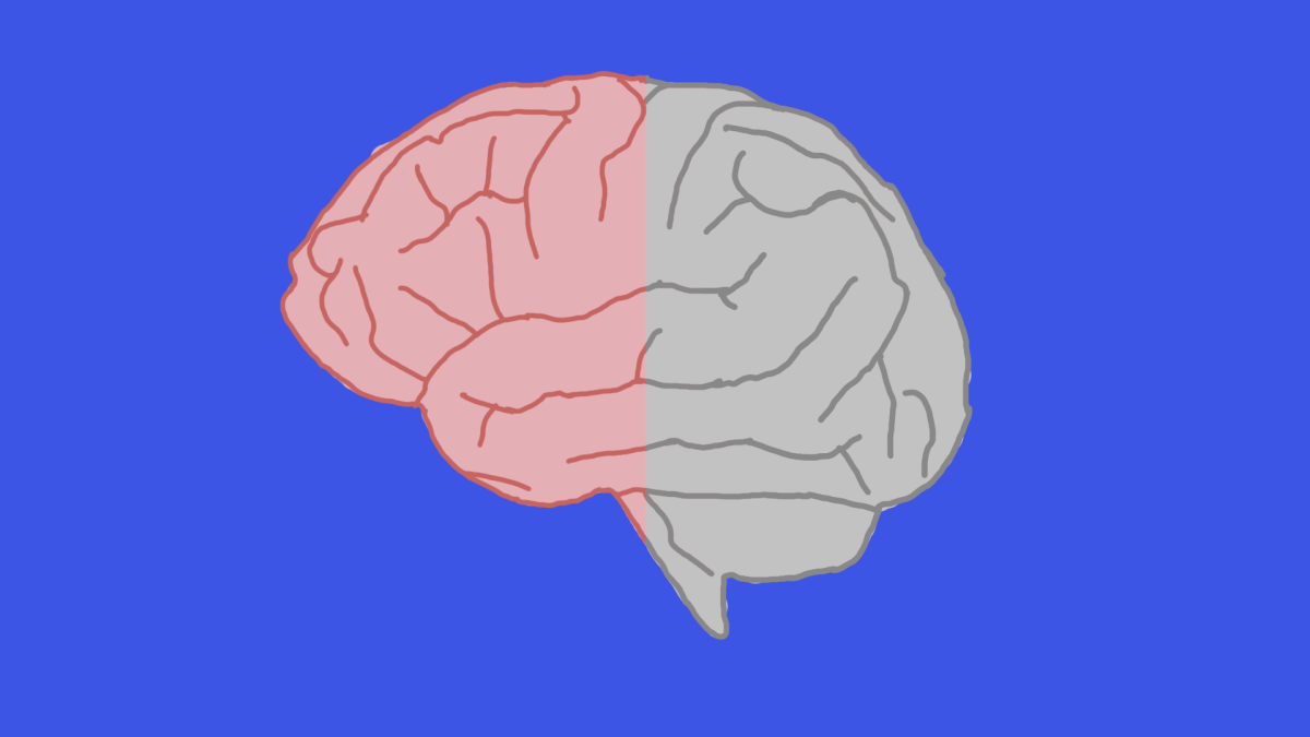 Image depicting a brain half shaded out. Graphic by Vera Petrowsky.
