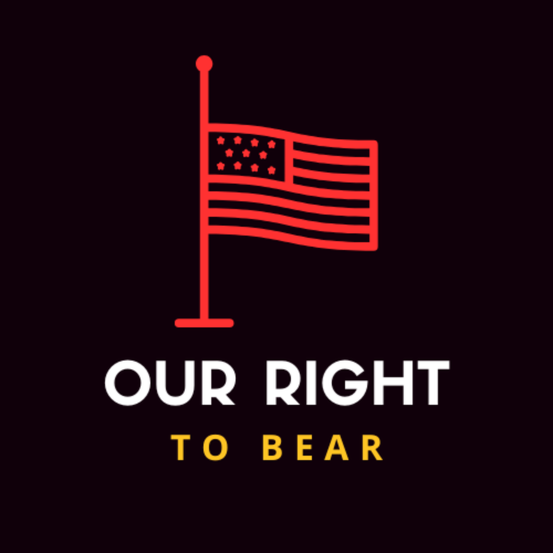 Image depicting the American flag with the podcast's title. Graphic by Alina Curtin.