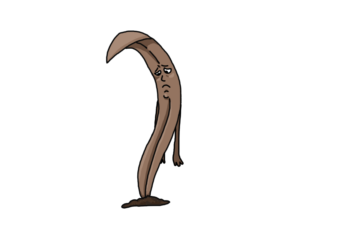 Image of a wilted grass blade. Graphic by Zanna Allen.