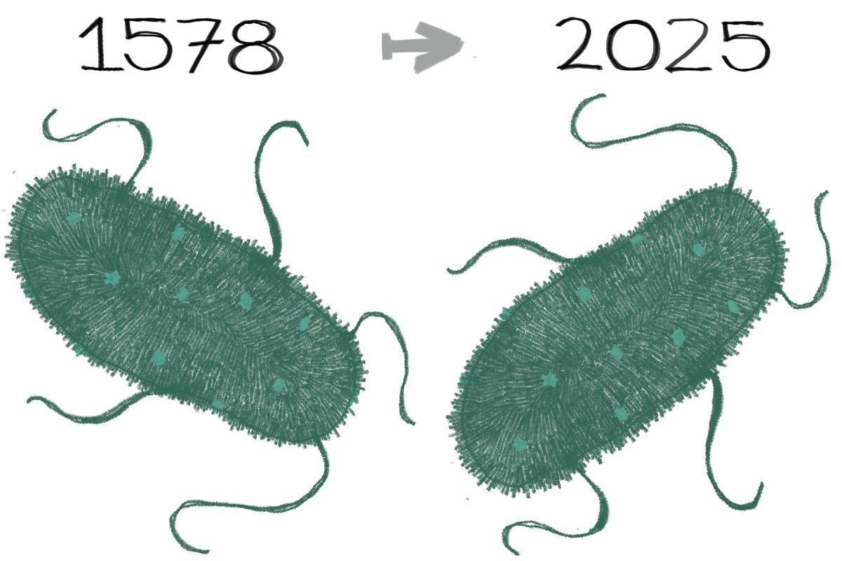 Graphic representing the year whooping cough was discovered to how it continues to exist in the present day. 
