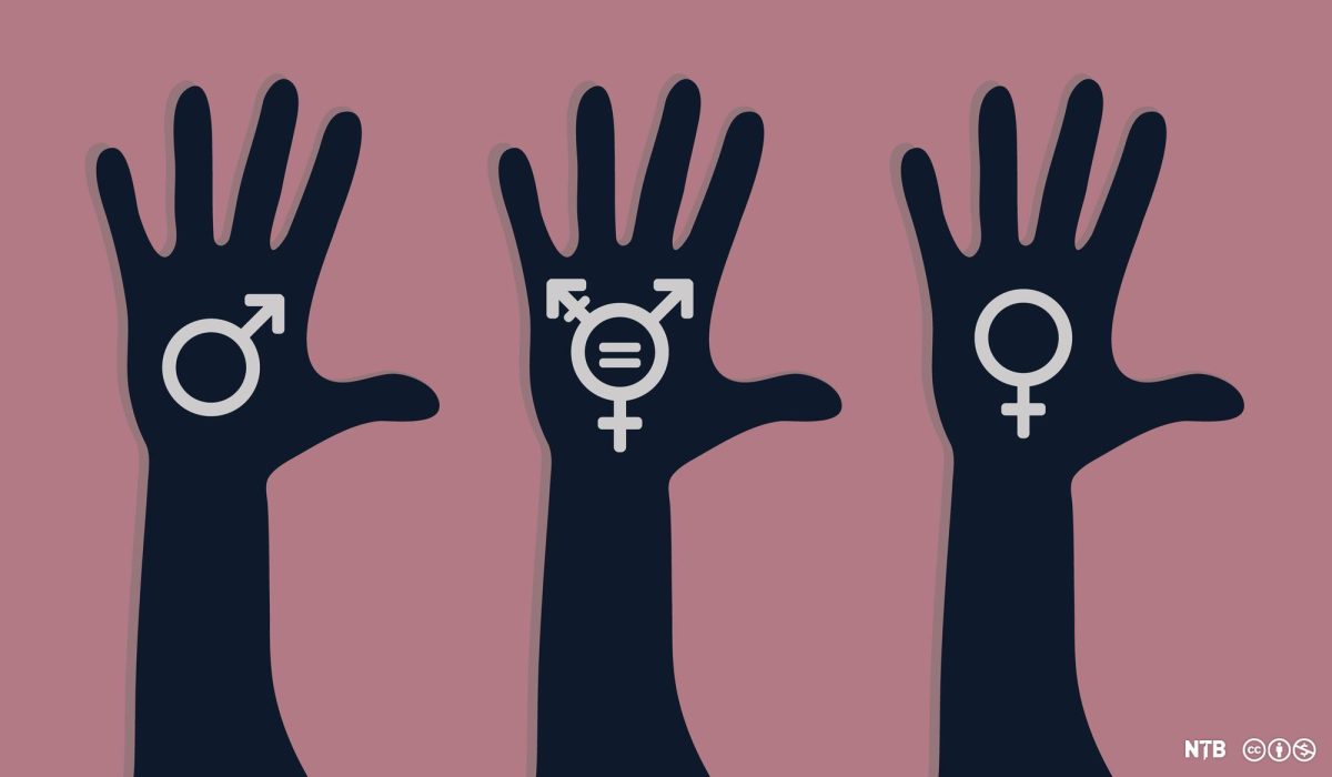 Three arm prints vector illustration with male, female and transgender signs. Human rights, gender equality symbols. Hand silhouettes on pink background, sex rights as metaphor of social issue. Image accessed through creative commons.