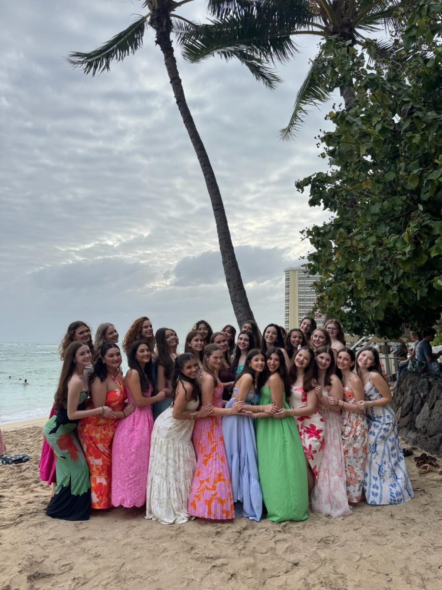 The group of dancers on Blue Brigade that attended the trip posing together before the hula show.
