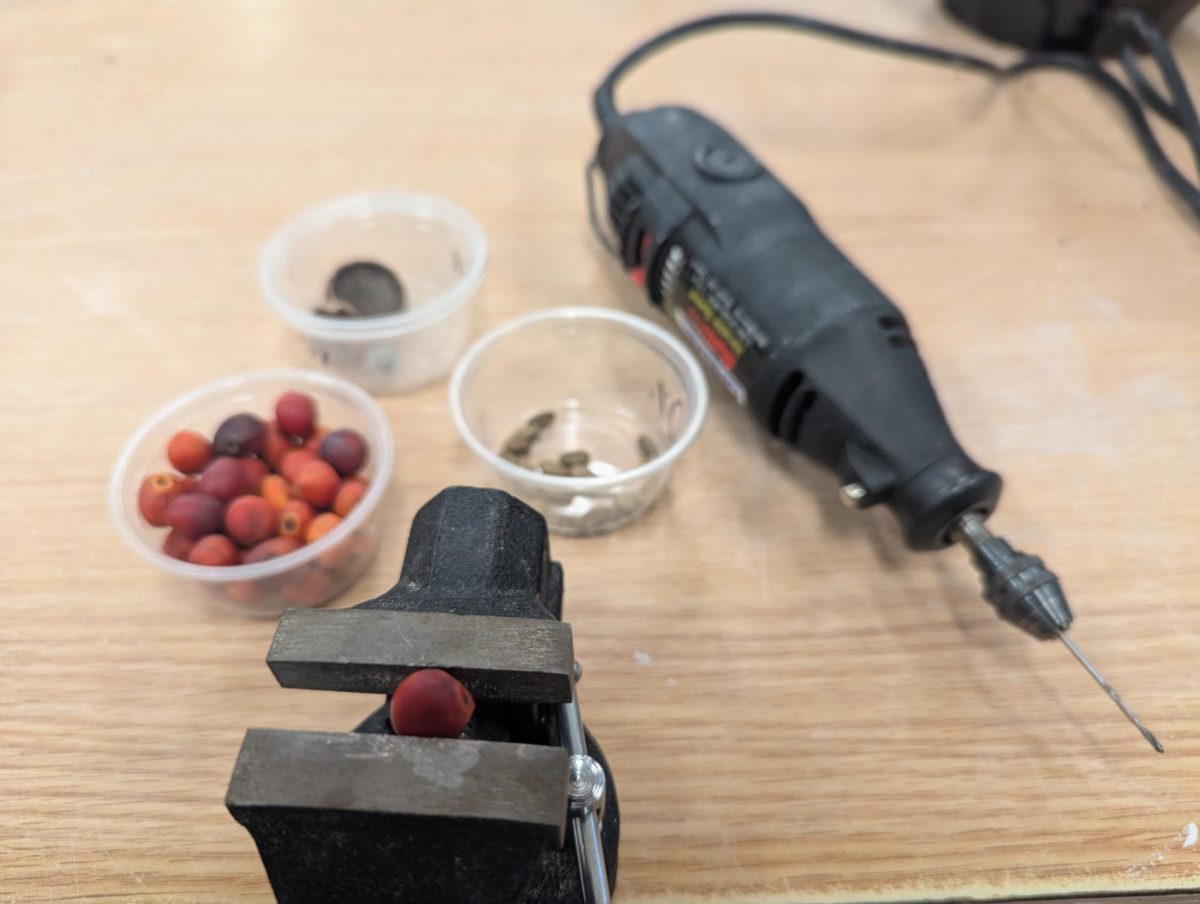 Fredine's set up for making mountain Laurel seeds and Palo Verde beans into beads 